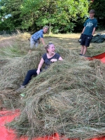 Vogelwiese Eisbaeren 2023